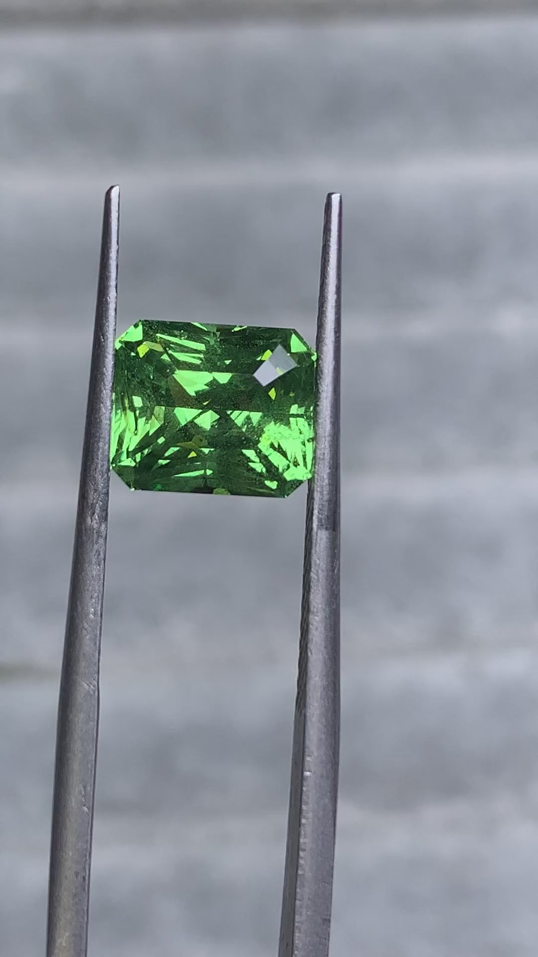 Tsavorite Garnet - 3.32CT