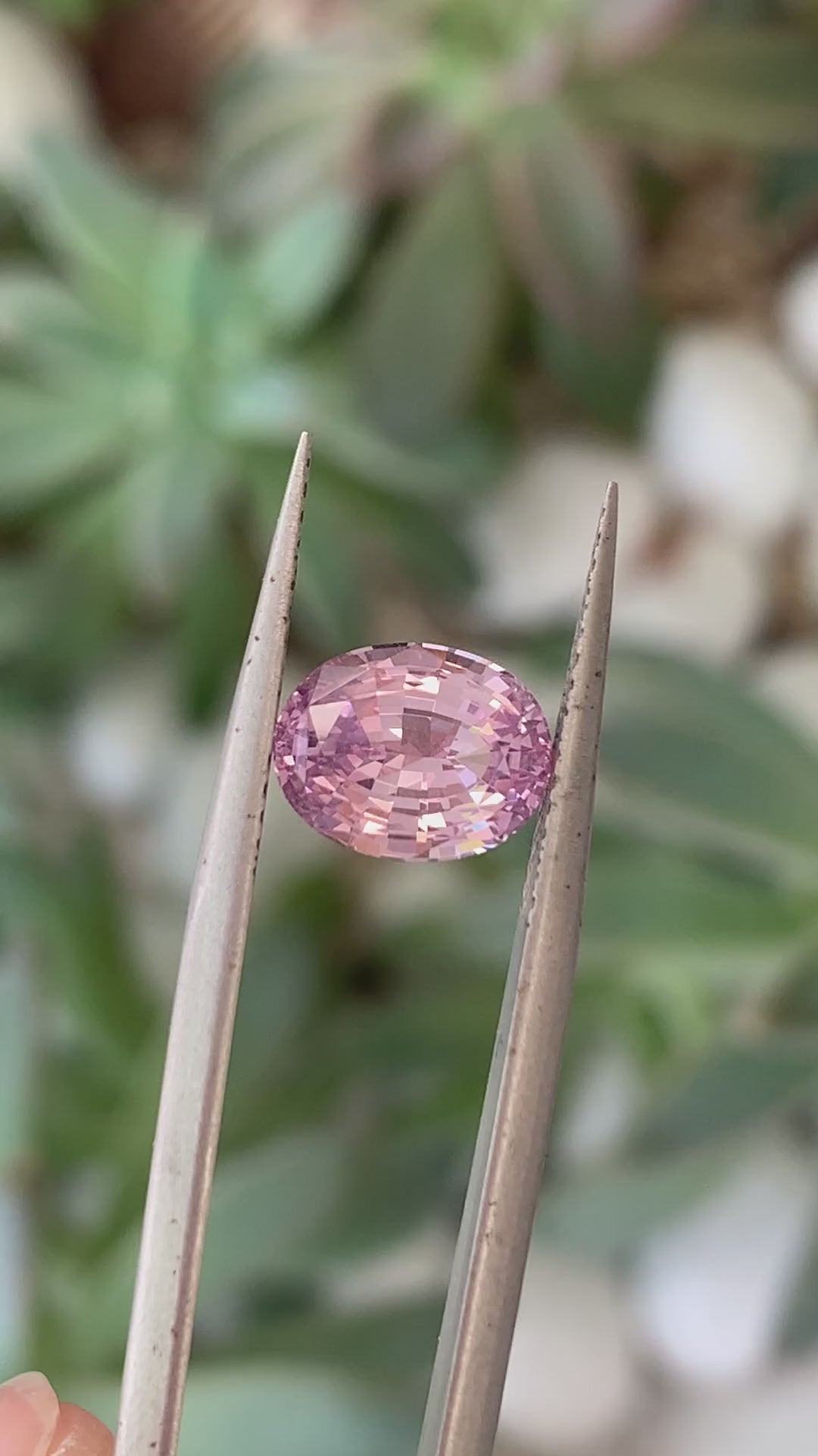 Oval Mixed Cut Baby Pink Sapphire - 2.37CT