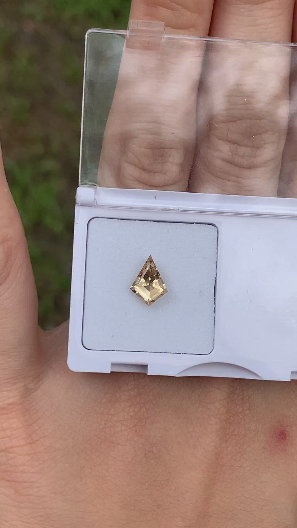 Kite Cut Brownish Yellow Beryl - 0.65CT