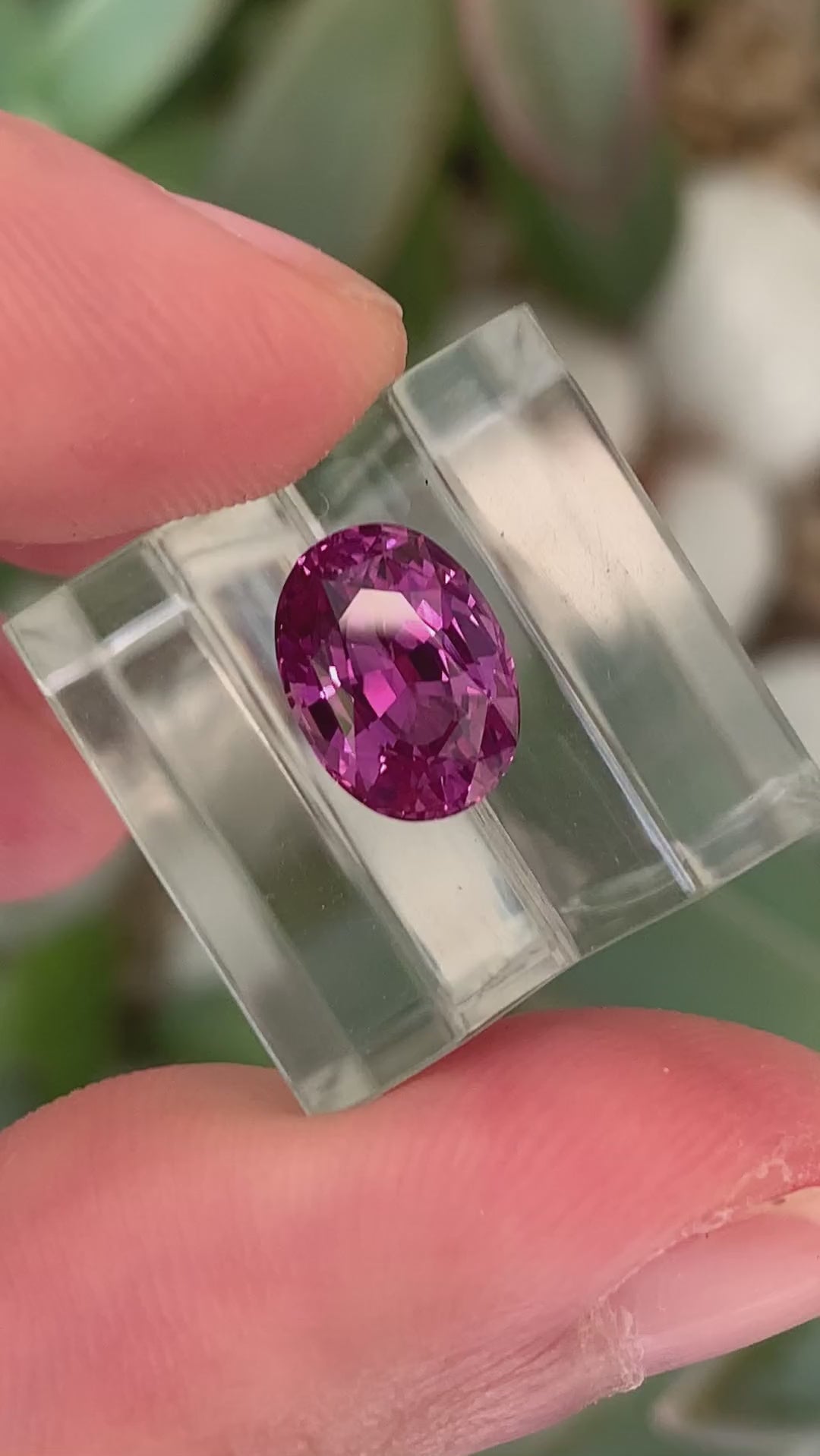 Oval Mixed Cut Vivid Pink Sapphire - 2.58CT