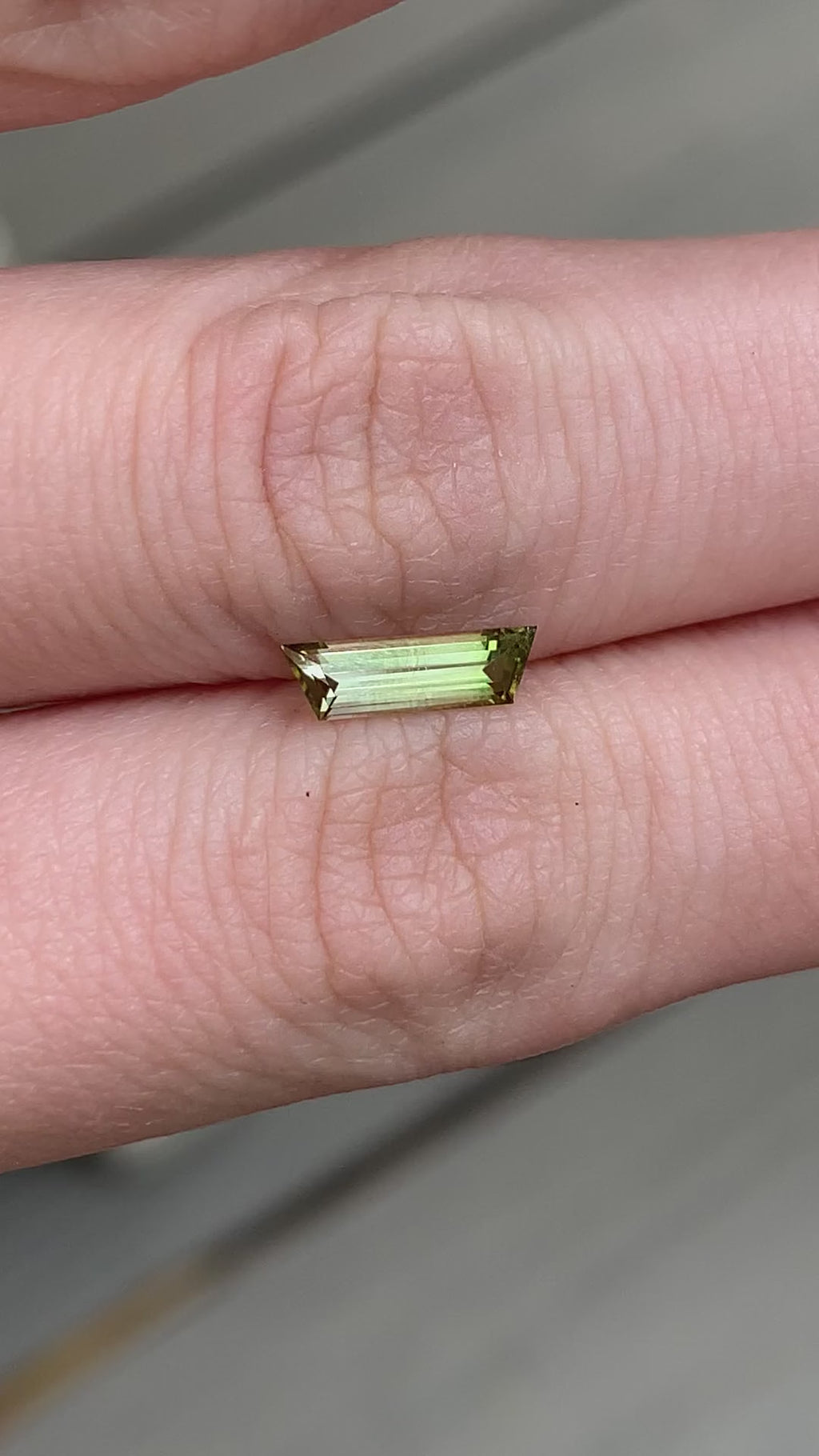 Trapezoid Cut Bi Colour Tourmaline - 0.48CT