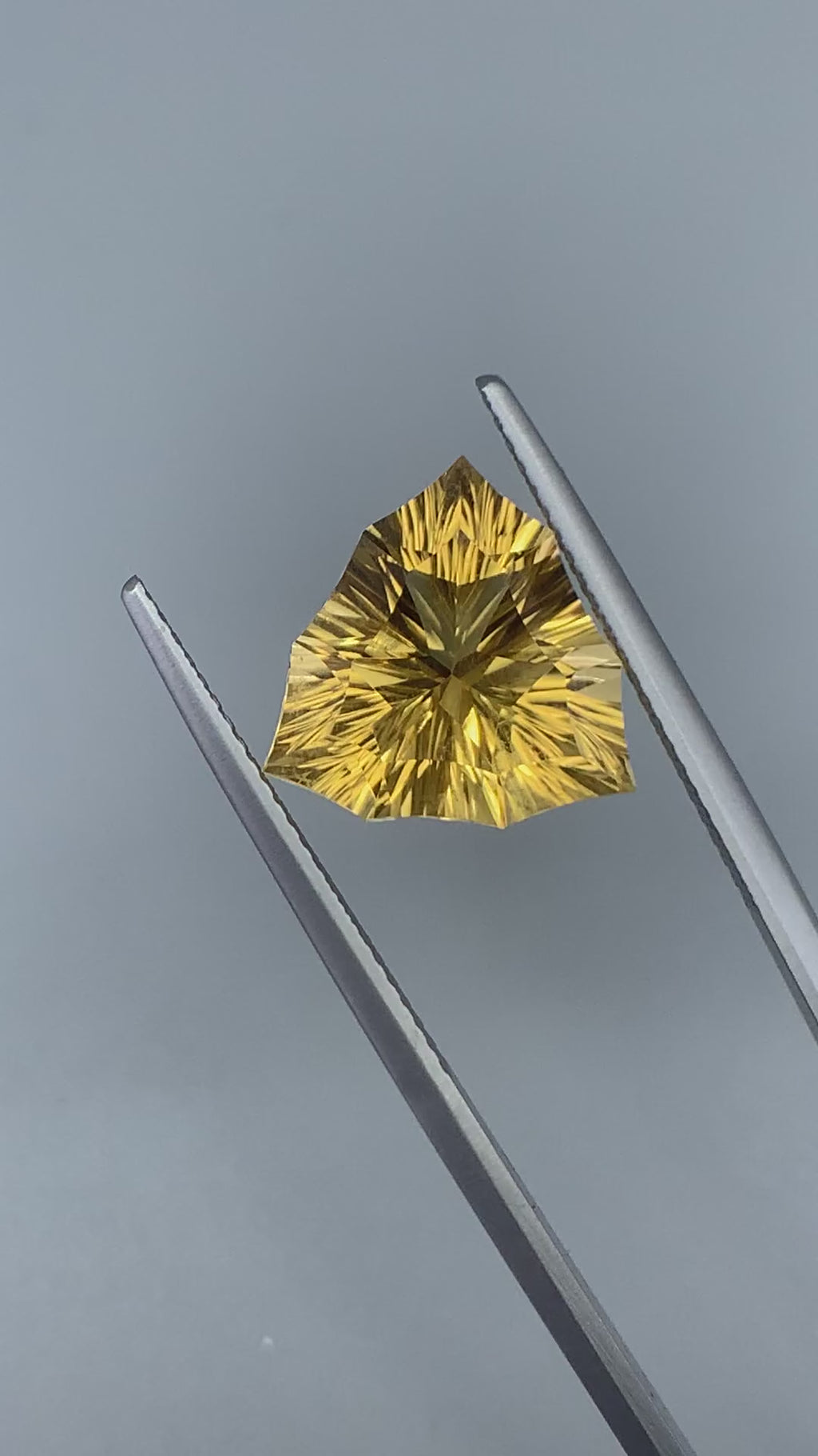 Fancy Cut Citrine - 5.29CT